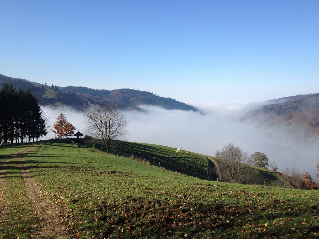Gasthaus Zum Hirschen Staufen im Breisgau Zewnętrze zdjęcie