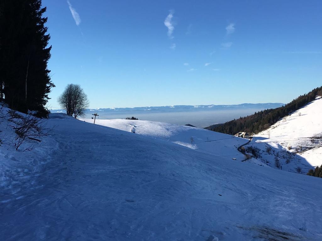 Gasthaus Zum Hirschen Staufen im Breisgau Zewnętrze zdjęcie