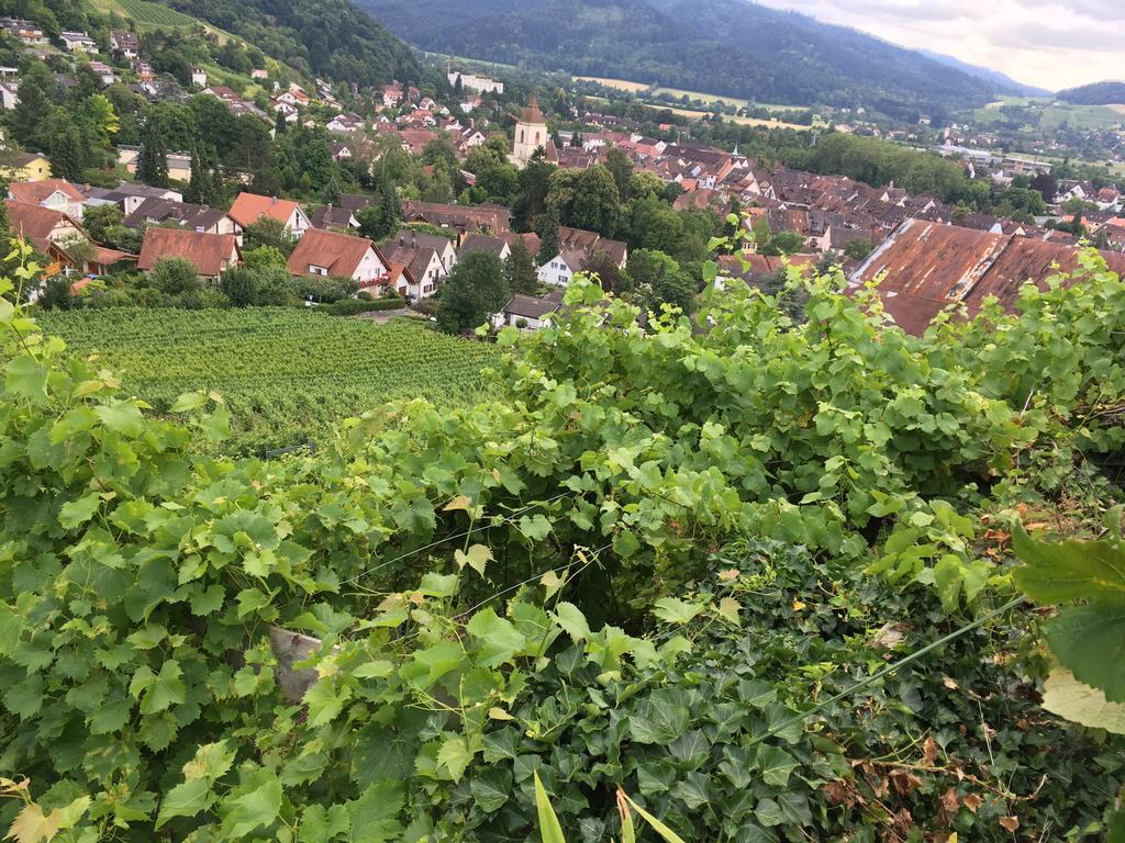 Gasthaus Zum Hirschen Staufen im Breisgau Zewnętrze zdjęcie